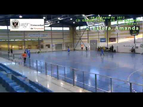 0326.1738.RESGOLES GUADALCACIN.wmv