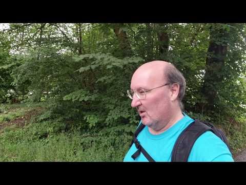 MongoTV_3479 - Danish Vlog - Lille Gåtur i Skoven Søndag
