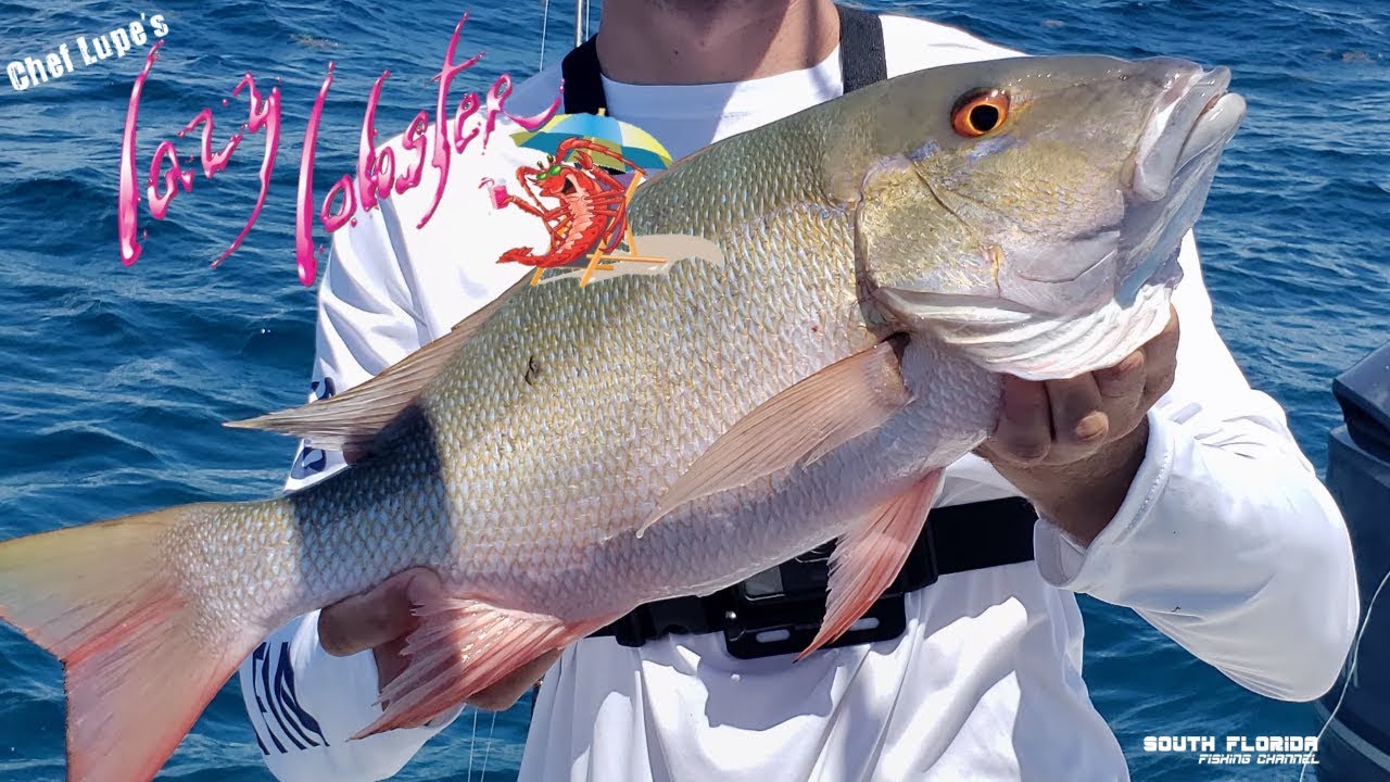 <h1 class=title>Mutton Snapper & Lazy Lobster in Key Largo | Catch and Cook</h1>