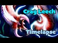 Rockwater Leech Timelapse