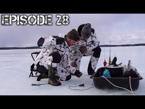 Ahvenen pilkintää Puhosjärvellä 2020 | Erämaiden Kulkijat