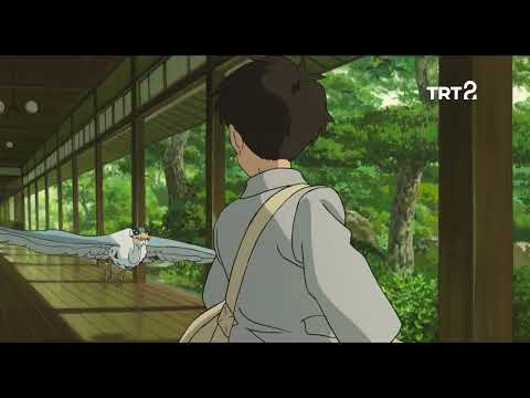 The Boy and the Heron (Çocuk ve Balıkçıl) | Tanıtım | TRT 2