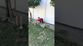 #shortscomedy #shorts #shortvideo #youtubecreator #viral #video #alegria #comedia #memes #fyp #fun