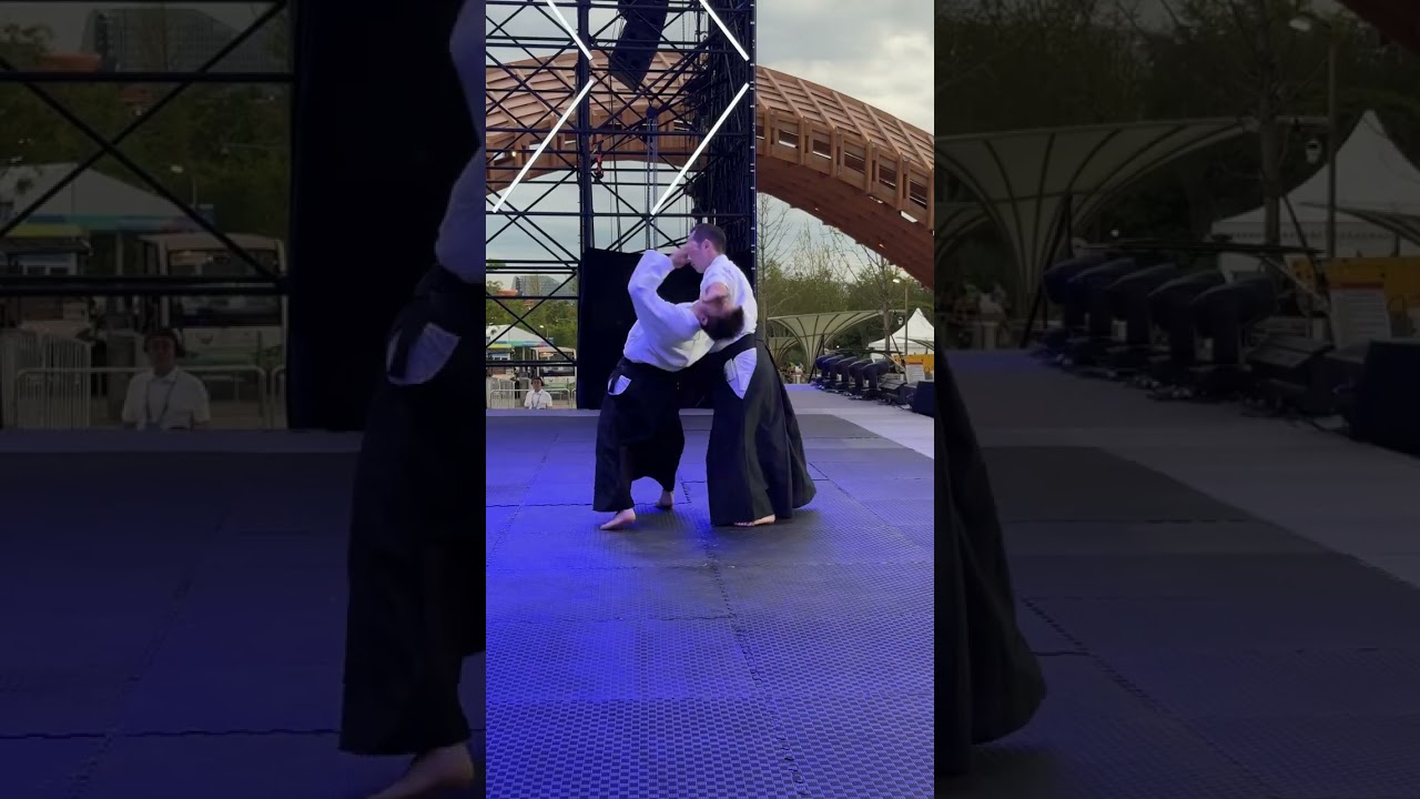 Aikido Embukai in Chengdu by Eiji Katsurada Shihan