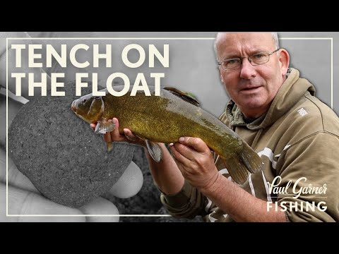 Tench Fishing : Float Fishing