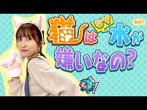 なぜ猫は水が嫌いなのでしょうか?