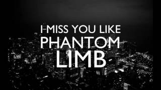 Phantom Limb | Yellow Mellow | Lyrics