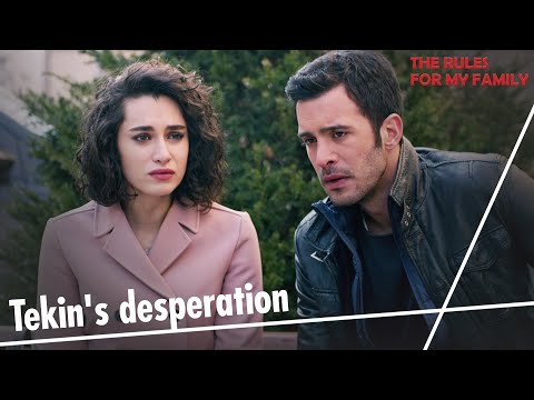 Tekin's desperation - The Rules, for My Family Short Scenes