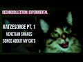 Venetian Snares - Katzesorge Part 1 (HQ Audio)