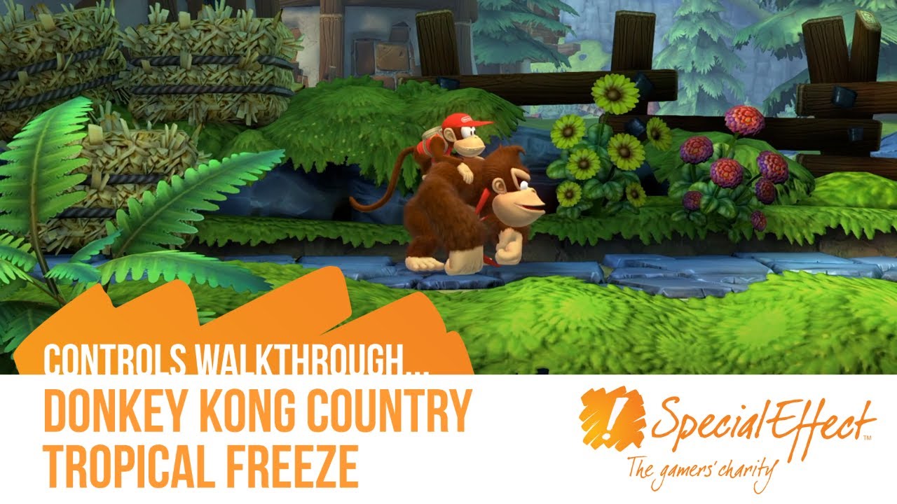 Donkey Kong Country Tropical Freeze Controls