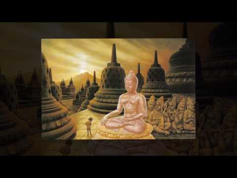 SAGRADO CORAÇÃO DA TERRA ASAS