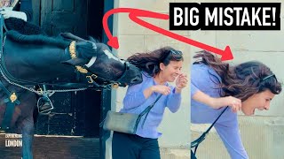 SHE GOT TOO CLOSE THEN THIS HAPPENED! ⚠️🐎 | Horse Guards, Royal guard, Kings Guard, Horse