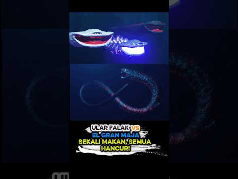 Ular Falak vs El Gran Maja – Pertarungan Langit dan Laut yang Mengguncang Dunia! #feedshorts