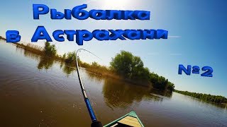Ссылка