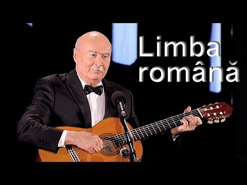Limba română - George Sion, Nichita Stănescu