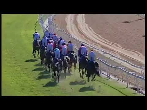 2018.07.07 Gold Vase (RSA) - It's My Turn