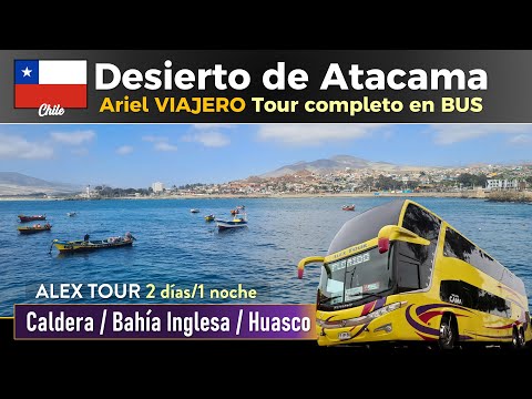 Trip ATACAMA DESERT CHILE by bus Alex Tour | ANDO EN BUS TURISMO