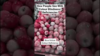How Color Blind People See the World #shorts 👓