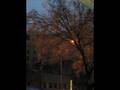 Winter S Night On Upper Westside