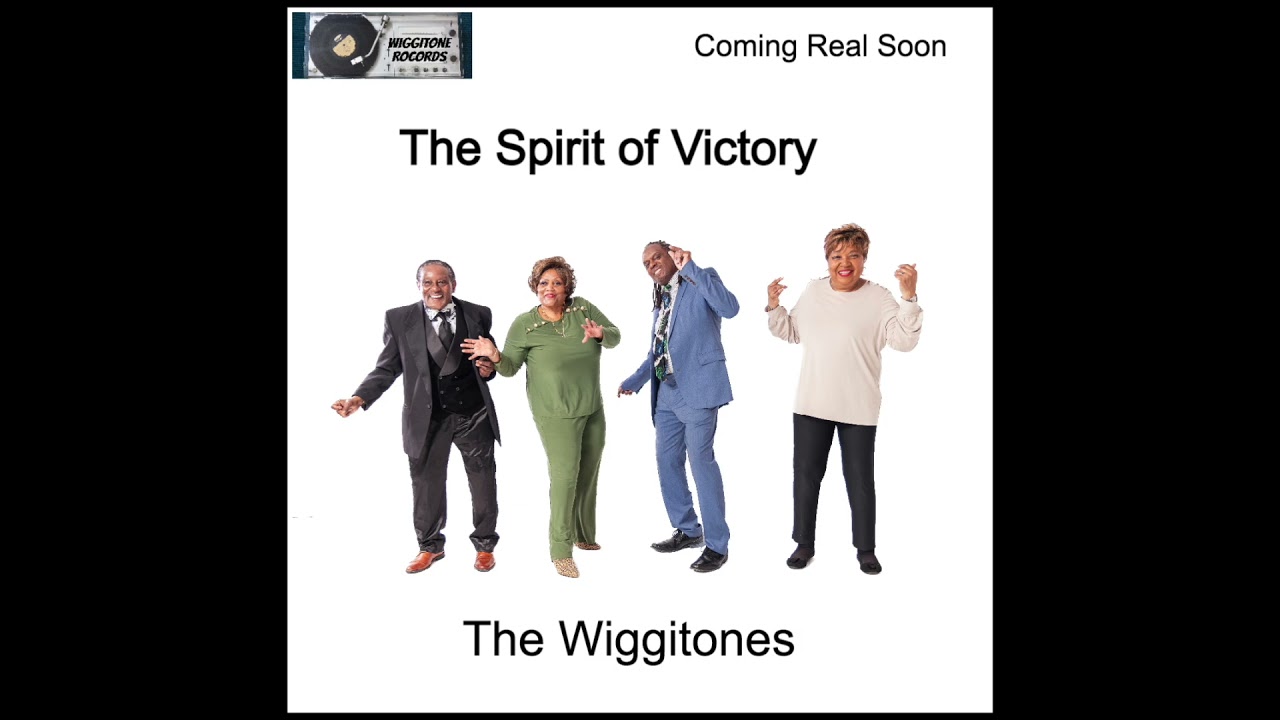 Promotional video thumbnail 2 for The Wiggitone Band