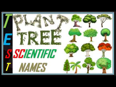 download lagu mp3 mp4 Botanical Names Of Plants With Common Names And Pictures, download lagu Botanical Names Of Plants With Common Names And Pictures gratis, unduh video klip Botanical Names Of Plants With Common Names And Pictures