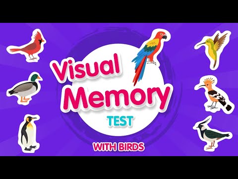 Visual Memory Test for Kids! | Can you solve all the questions? | Birds Quiz