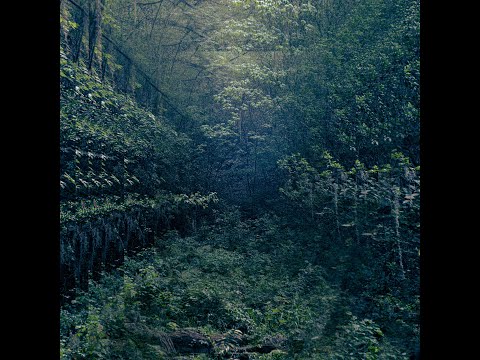 FUERA DE CASA - MVLDITOS HOMBRES (FULL ALBUM)