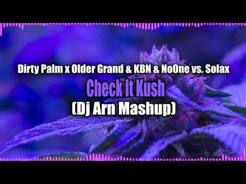 Dirty Palm x Older Grand & KBN & NoOne vs. Solax - Check It Kush (Dj Arn Mashup)