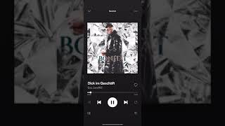 Dick Im Geschäft Lyrics English Translation