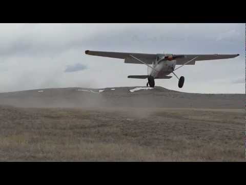 Cessna 180 landing short in windy conditions.