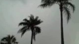 preview picture of video 'Gustav electrifies St. Petersburg Florida Hurricane Bullies it's way into Gulf of Mexico'