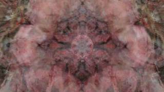 All is One  Kilbey/Kennedy (Unseen Music Unheard Words)