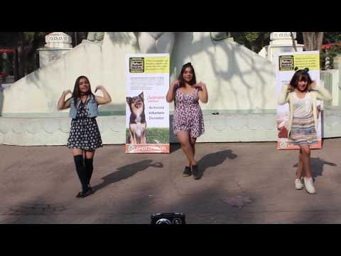 ORANGE CARAMEL - CATALLENA 까탈레나 (Future Goals dance cover)