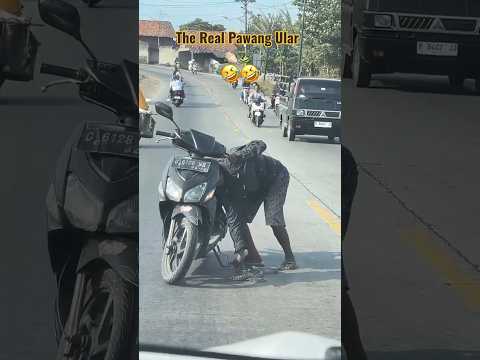 the real hero