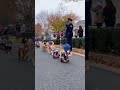 Epic Cat Parade Hits the Streets 😹🎉🐾