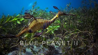 Blue Planet II: Official Trailer