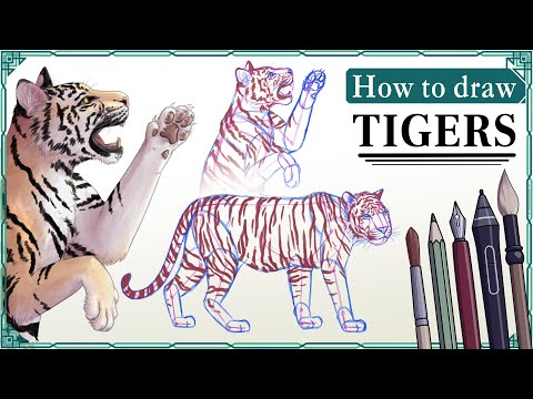 How to draw TIGERS - Step by Step Art Tutorial