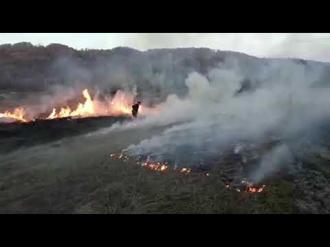 INCENDIU VEGETAȚIE USCATĂ ÎN BELEȚI-NEGREȘTI