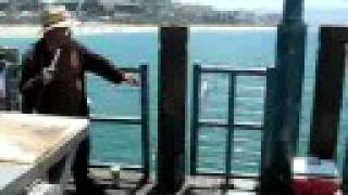 preview picture of video 'Fishing for Pacific Mackerel at Redondo Beach Pier California'