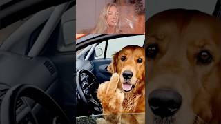 Try Not To Laugh Challenge 794