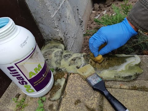 DeSalin AM Mold Removal