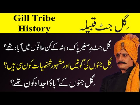 IHC Caste series: History of Gill in urdu/Hindi - Sub castes of Gill jatt - Gill family tree
