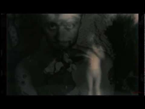 David Tibet & Steven Stapleton - The Sadness Of Things  (Unofficial Music Video)