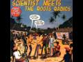 Scientist, The Roots Radics - Some Dub