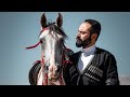 Kafkas Circasian Arabian Horse Turkey