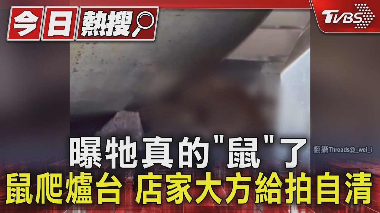 影音／排骨飯店驚見「鼠爬爐台喝水」！老闆娘喊冤：投藥已捕獲