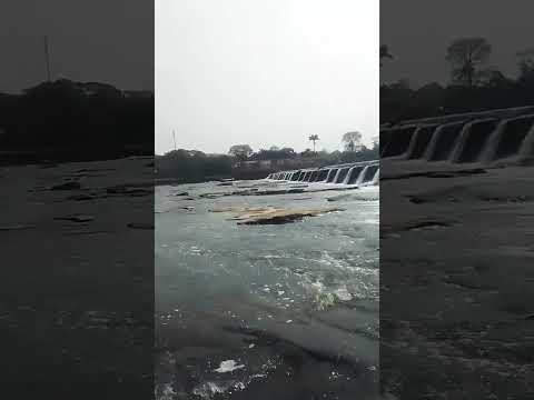 Pirassununga são Paulo ,, viajens