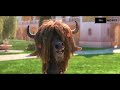 Zootopia Movie Comedy Scene Funny Scene In Zootopia Movie Hindi Dubbed