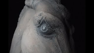 Military Genius – “Darkest Hour”