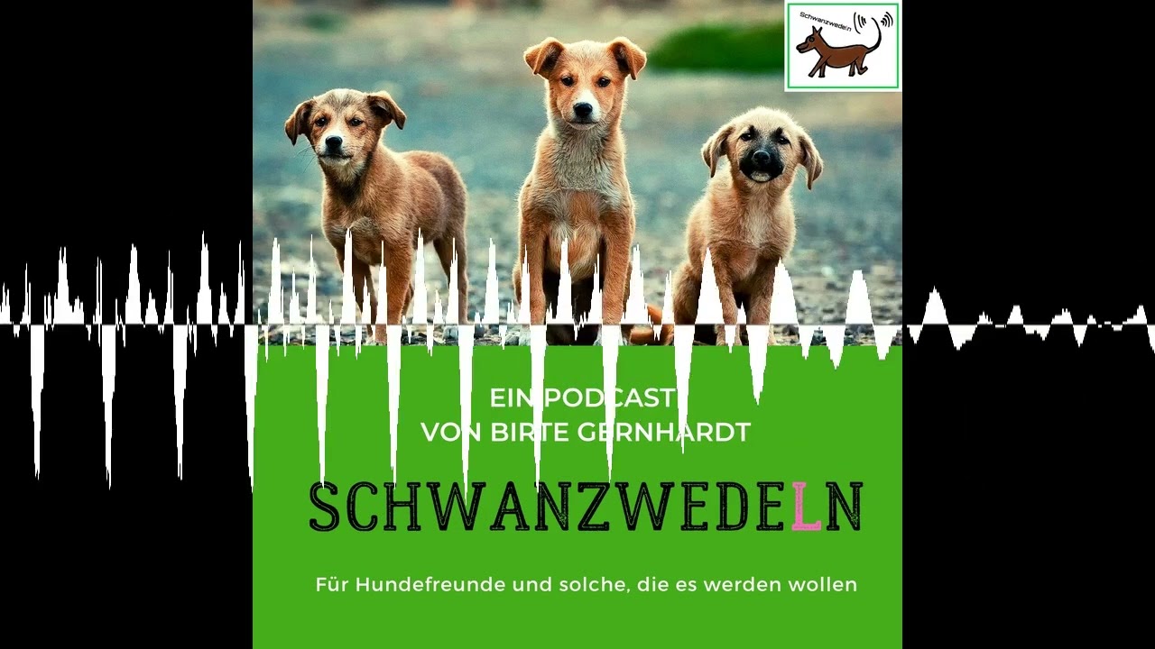 99 Hund und Familie - Bereicherung und Verantwortung - Schwanzwedeln